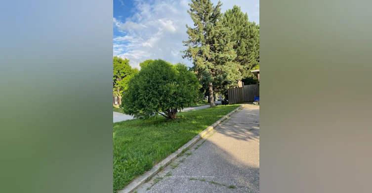 Lower-41 Ravengloss Drive, Markham, ON, L3T 4C8 - 9
