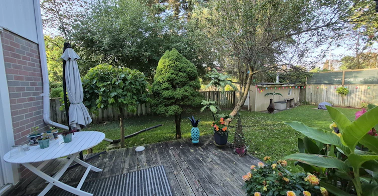 348 Terry Drive, Newmarket, ON, L3Y 5E7 - 36