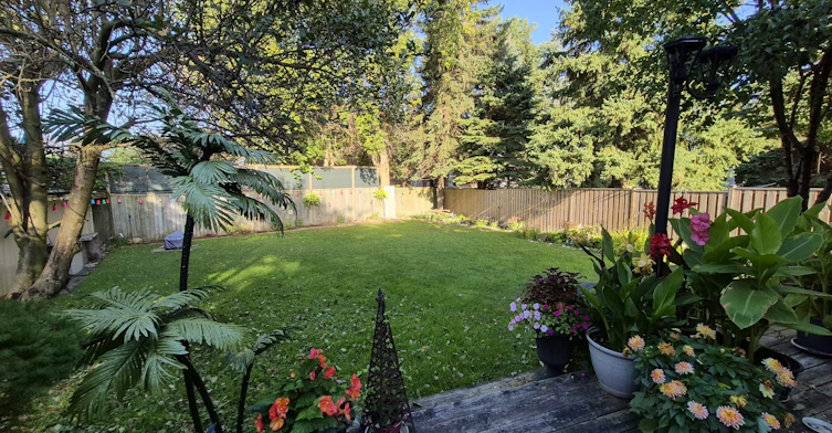 348 Terry Drive, Newmarket, ON, L3Y 5E7 - 41