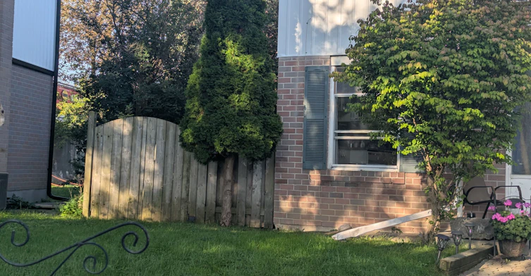 348 Terry Drive, Newmarket, ON, L3Y 5E7 - 33