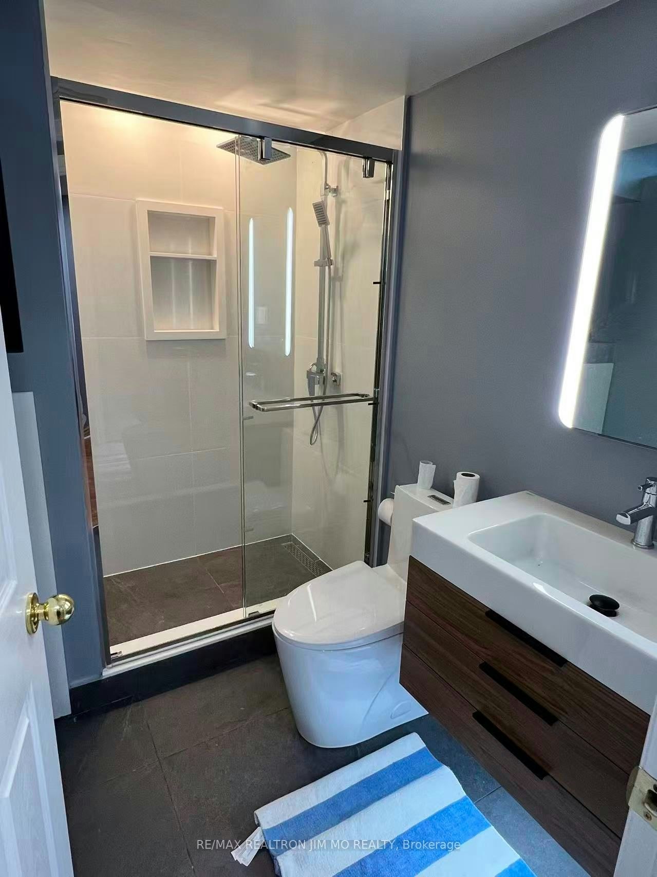 Basement-5 Buttonwood Trail, Aurora, ON, L4G 6N2 - 6