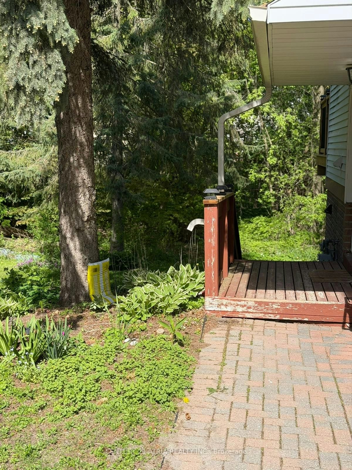 Basement-12 Wiles Court, Aurora, ON, L4G 3N5 - 3