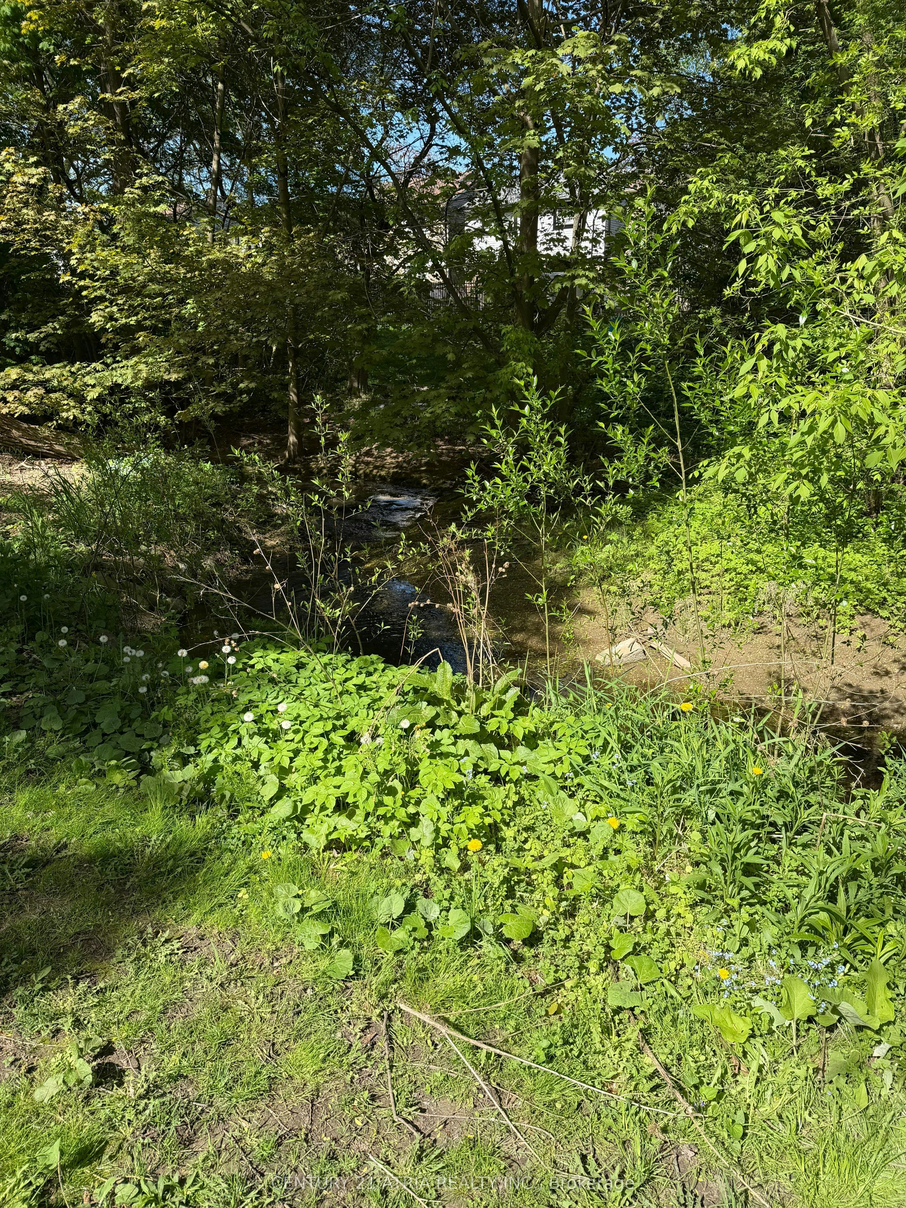 Basement-12 Wiles Court, Aurora, ON, L4G 3N5 - 16