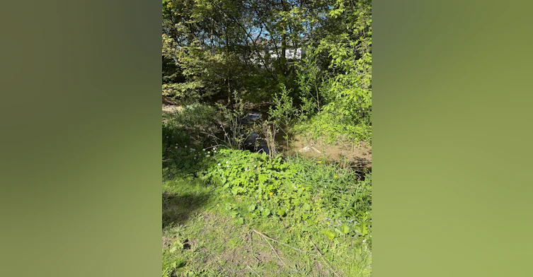Basement-12 Wiles Court, Aurora, ON, L4G 3N5 - 16