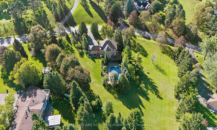 64 Elderberry Trail