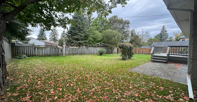 94 Queen Street S, New Tecumseth, ON, L0G 1W0 - 45