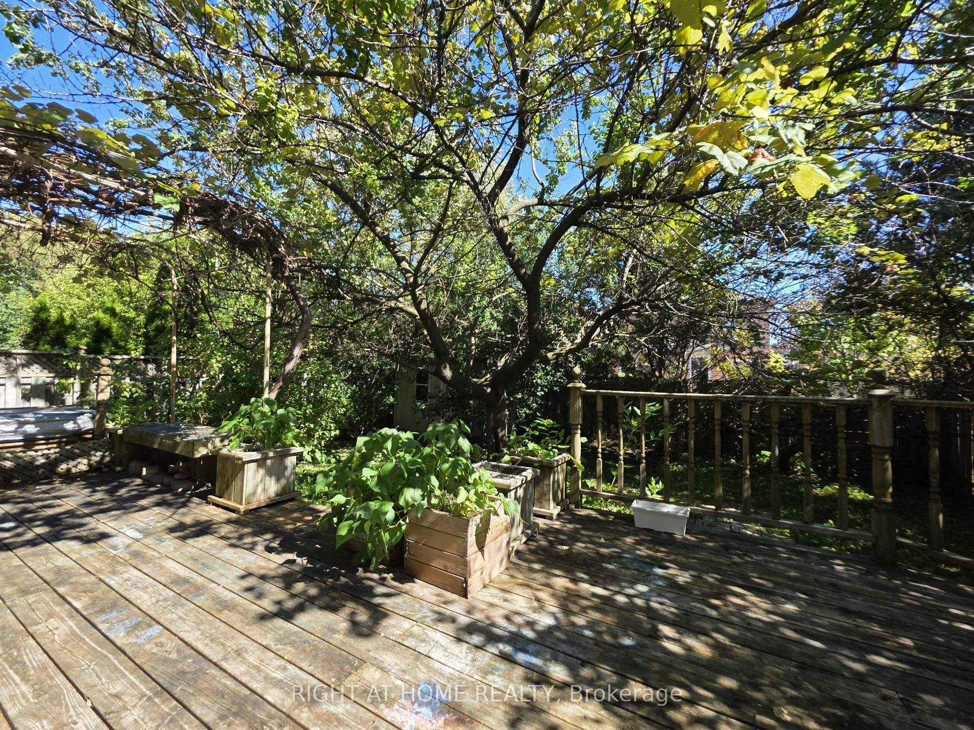 63 Sunridge Street, Richmond Hill, ON, L4E 3T7 - 15