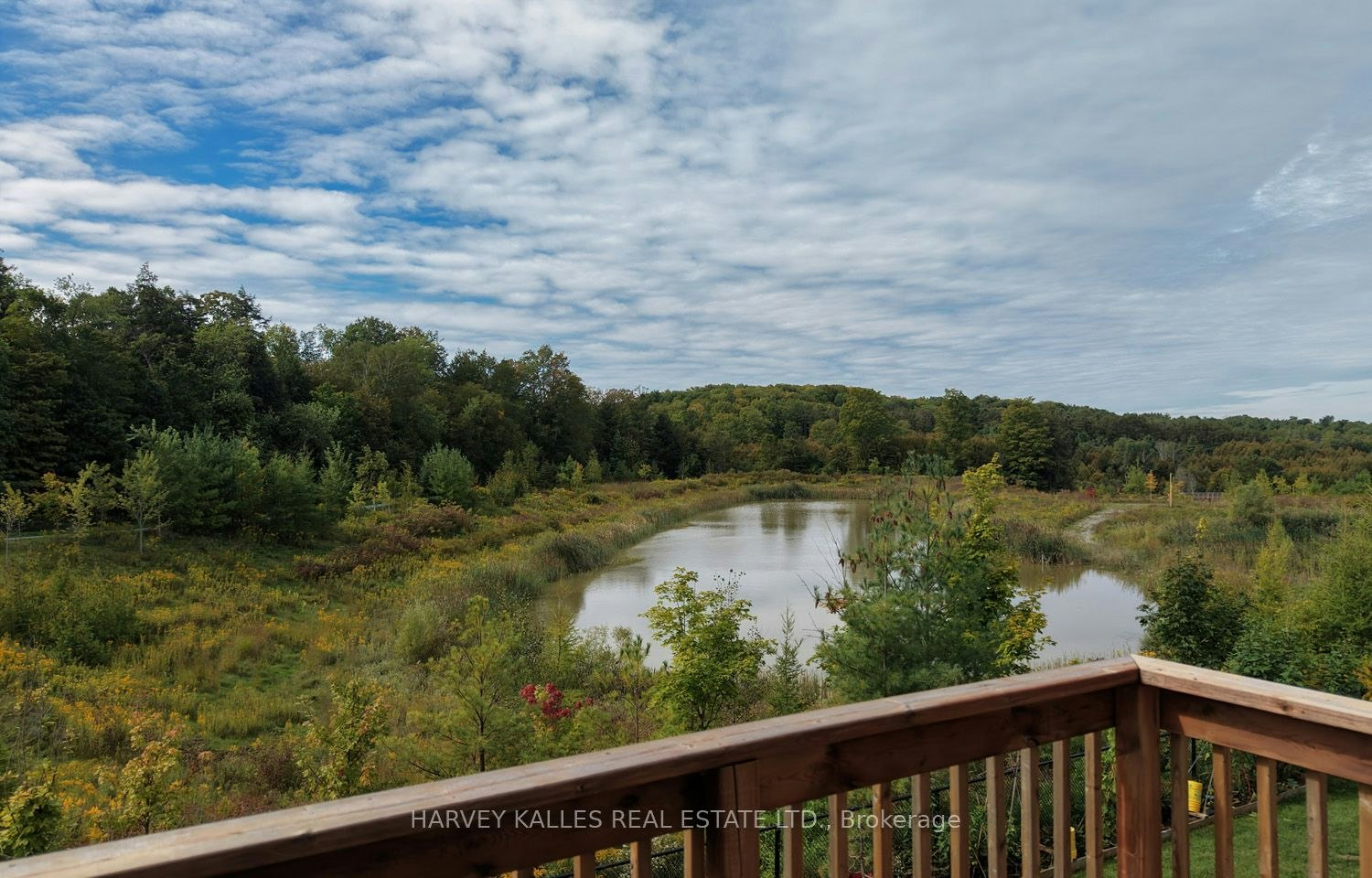 Main Floor-253 Seaview Heights, East Gwillimbury, ON, L9N 0Z1 - 44