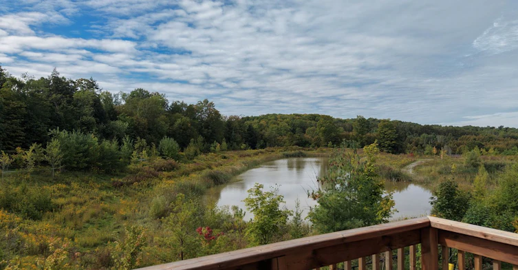 Main Floor-253 Seaview Heights, East Gwillimbury, ON, L9N 0Z1 - 44