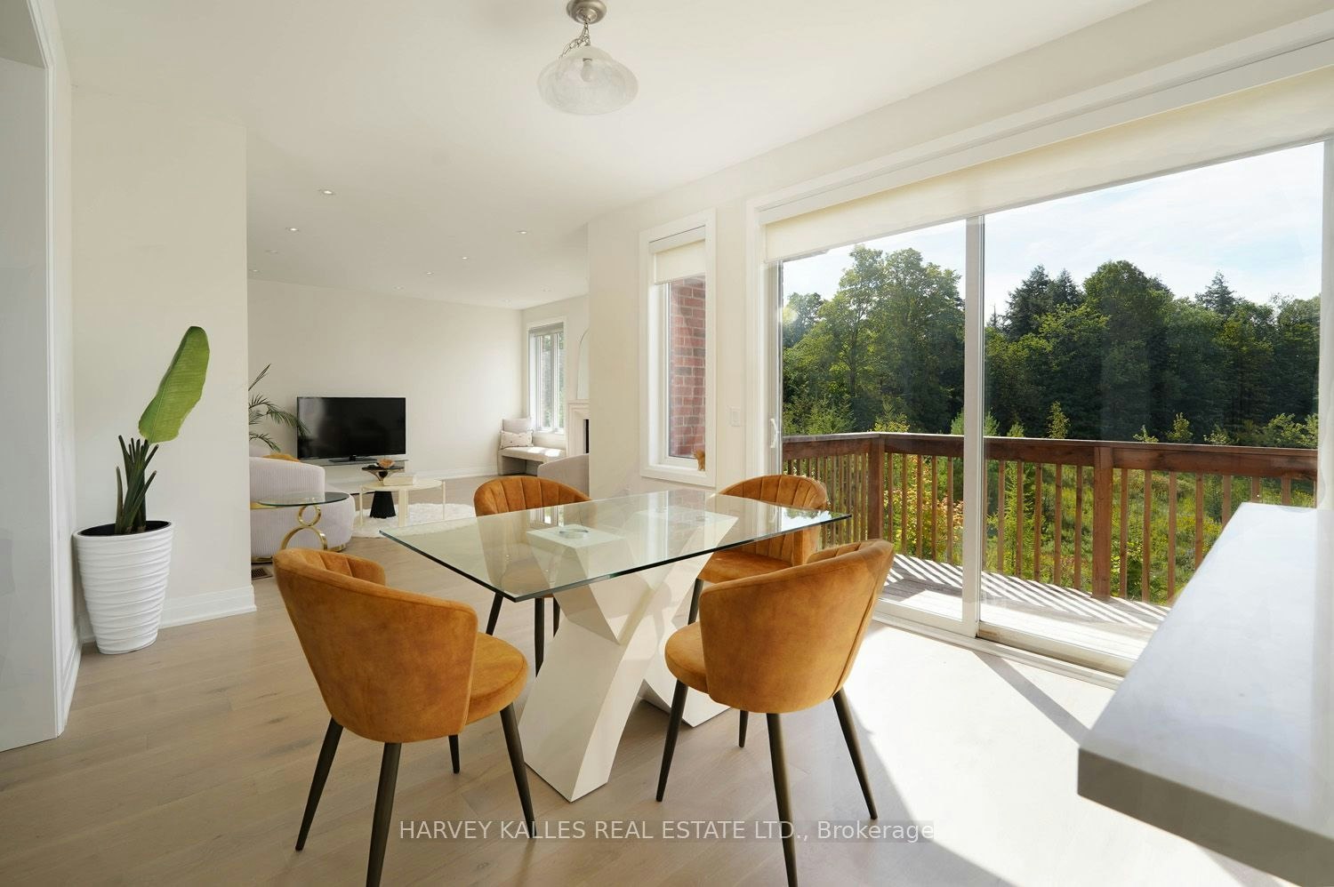 Main Floor-253 Seaview Heights, East Gwillimbury, ON, L9N 0Z1 - 16
