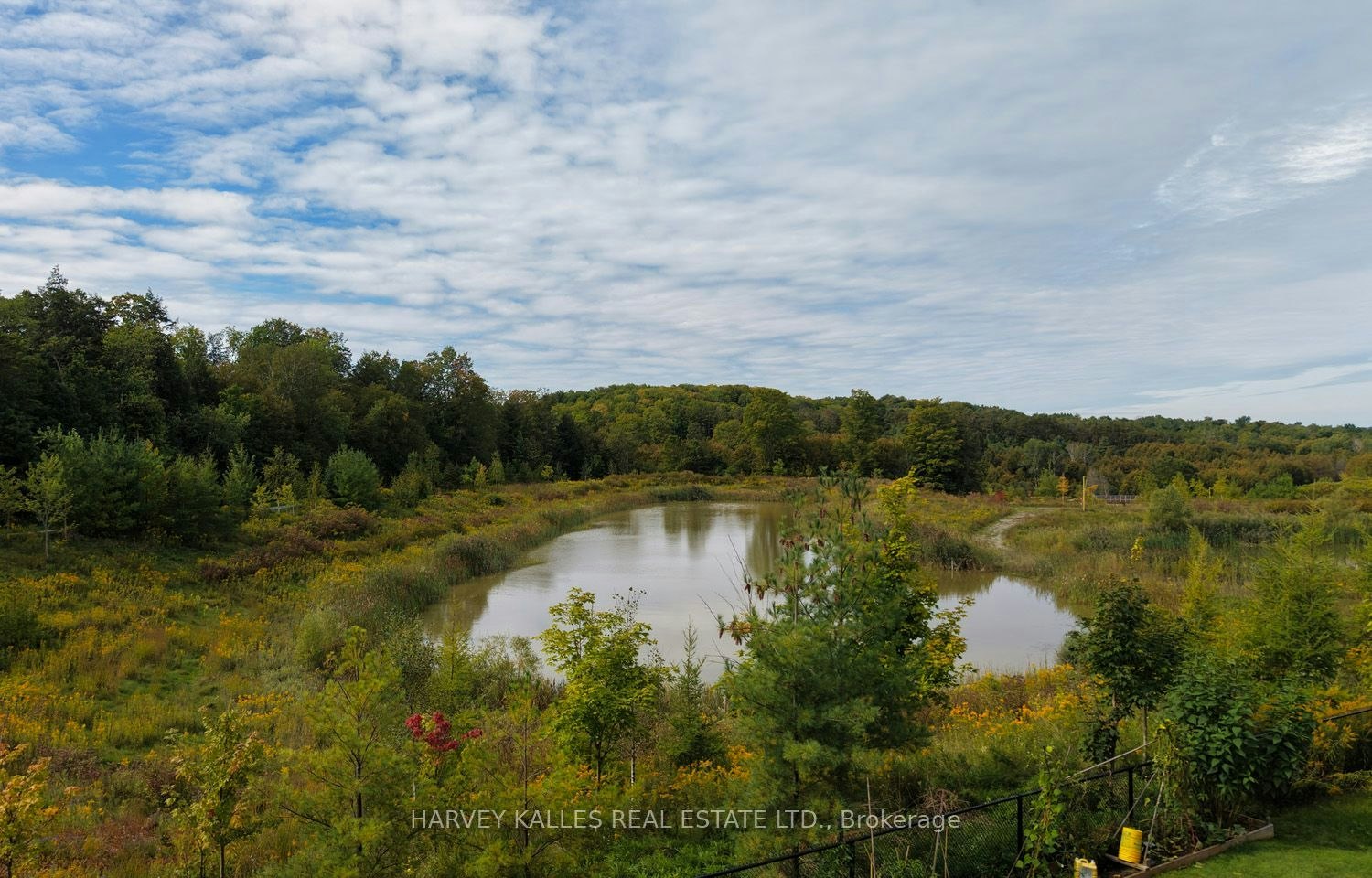 Main Floor-253 Seaview Heights, East Gwillimbury, ON, L9N 0Z1 - 45