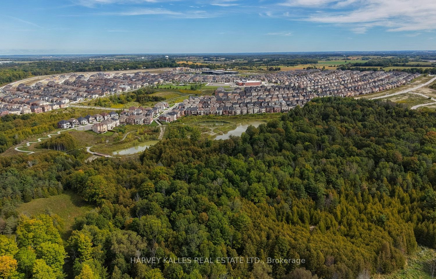 Main Floor-253 Seaview Heights, East Gwillimbury, ON, L9N 0Z1 - 48