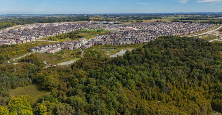 Main Floor-253 Seaview Heights, East Gwillimbury, ON, L9N 0Z1 - 48