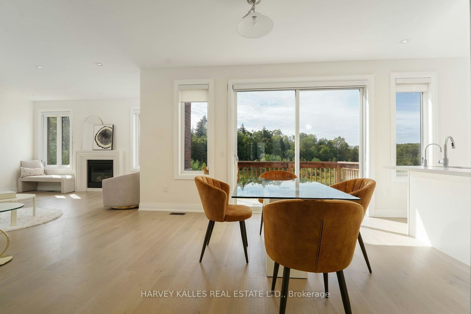 Main Floor-253 Seaview Heights, East Gwillimbury, ON, L9N 0Z1 - 11