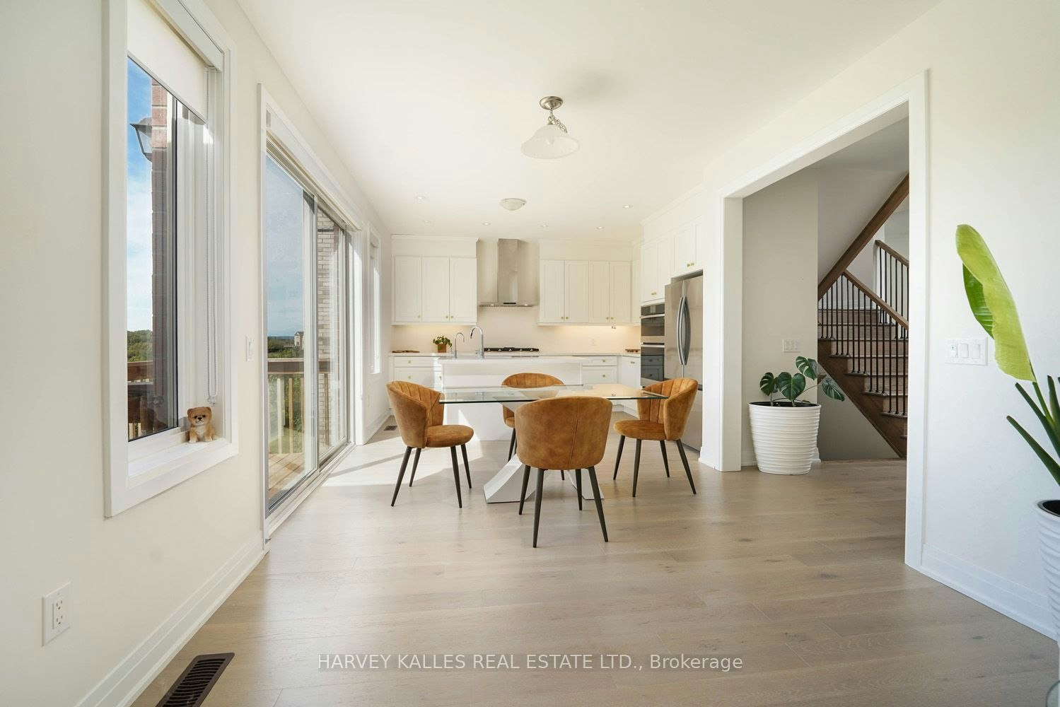 Main Floor-253 Seaview Heights, East Gwillimbury, ON, L9N 0Z1 - 13