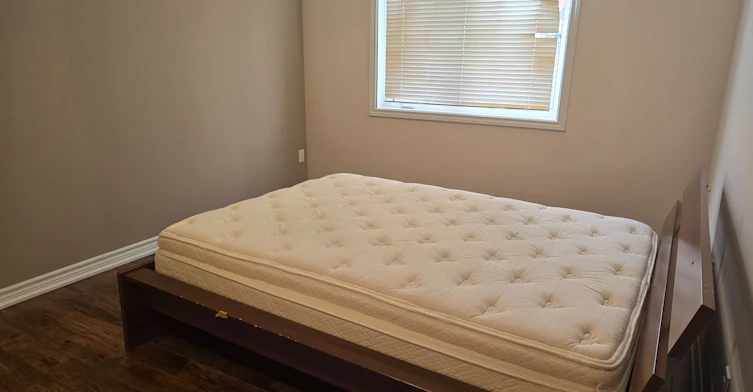 Basement-28 Philips View Crescent, Richmond Hill, ON, L4E 0S9 - 19
