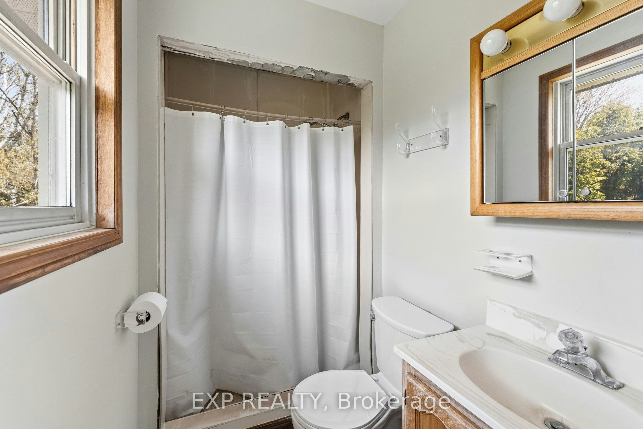 32 Louisa Street, Georgina, ON, L0E 1L0 - 23