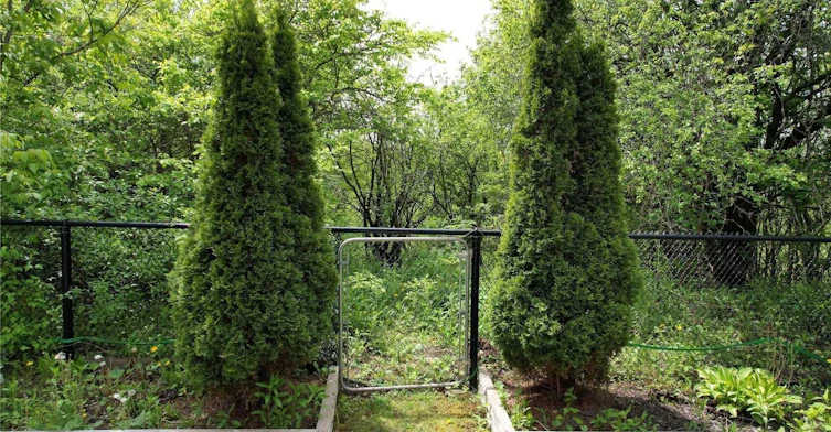145 Old Colony Road, Richmond Hill, ON, L4E 5C7 - 15