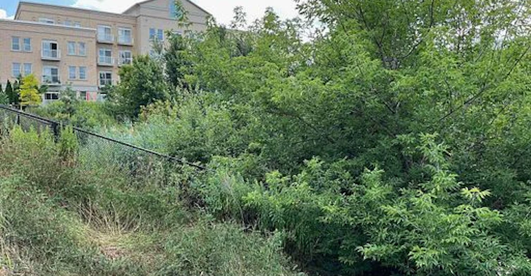 123-28 Prince Regent Street, Markham, ON, L6C 0V5 - 36