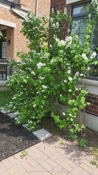 25 Sibella Way, Vaughan, ON, L4H 3V6 - 32