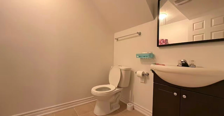 69 Hazelmere Drive, Richmond Hill, ON, L4B 1W8 - 10