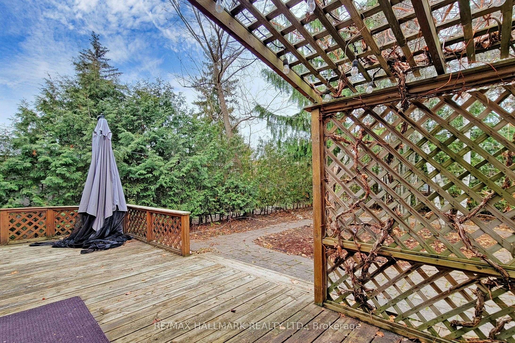 16 Knowles Crescent, Aurora, ON, L4G 1Z7 - 21