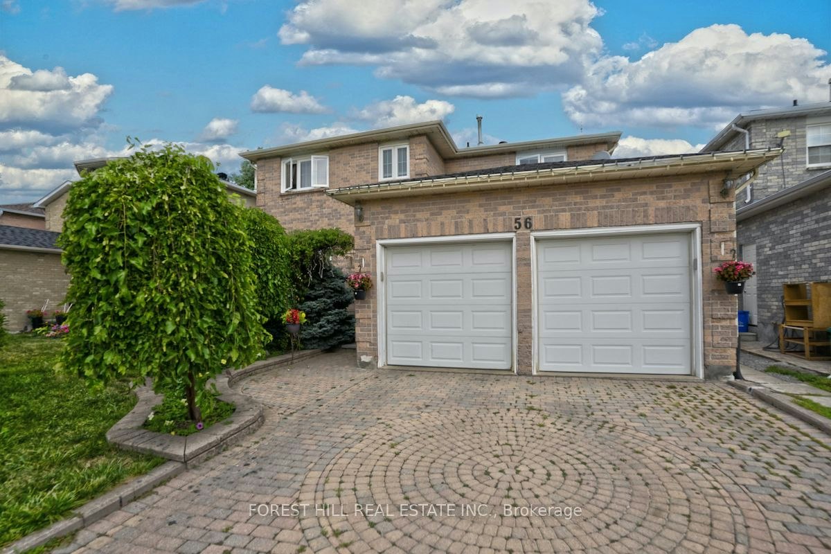 Bsmt-56 Cooperage Crescent, Richmond Hill, ON, L4C 9L5 - 13