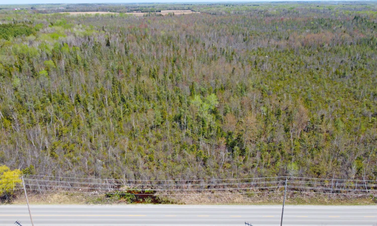 23995 Mccowan Road
