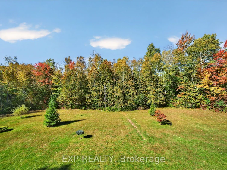 9525 Old Homestead Road, Georgina, ON, L0E 1N0 - 41