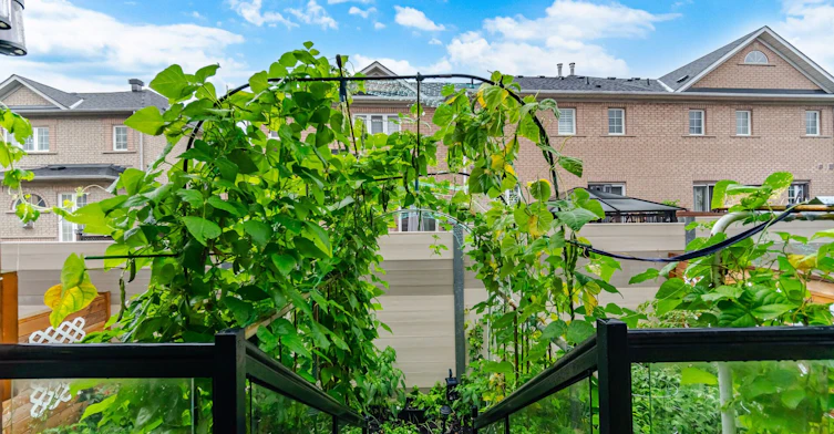 58 Pageant Avenue, Vaughan, ON, L4H 4R3 - 28