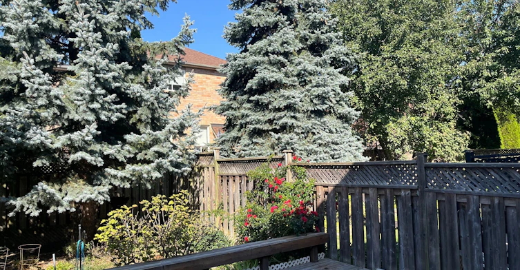 24 Gwilliam Lane, Aurora, ON, L4G 7V3 - 30
