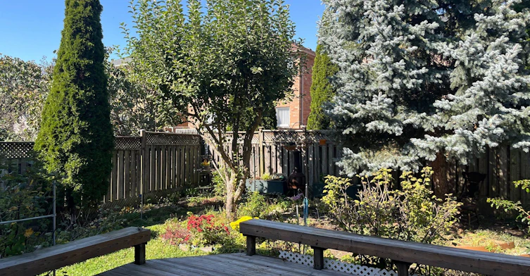 24 Gwilliam Lane, Aurora, ON, L4G 7V3 - 32