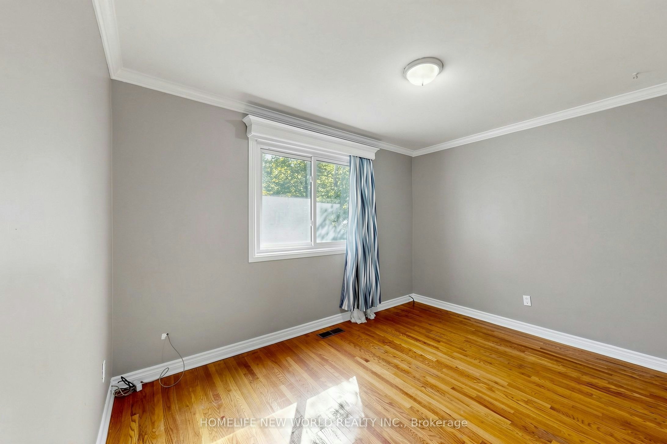 MAIN-65 Walter Avenue, Newmarket, ON, L3Y 2T4 - 19