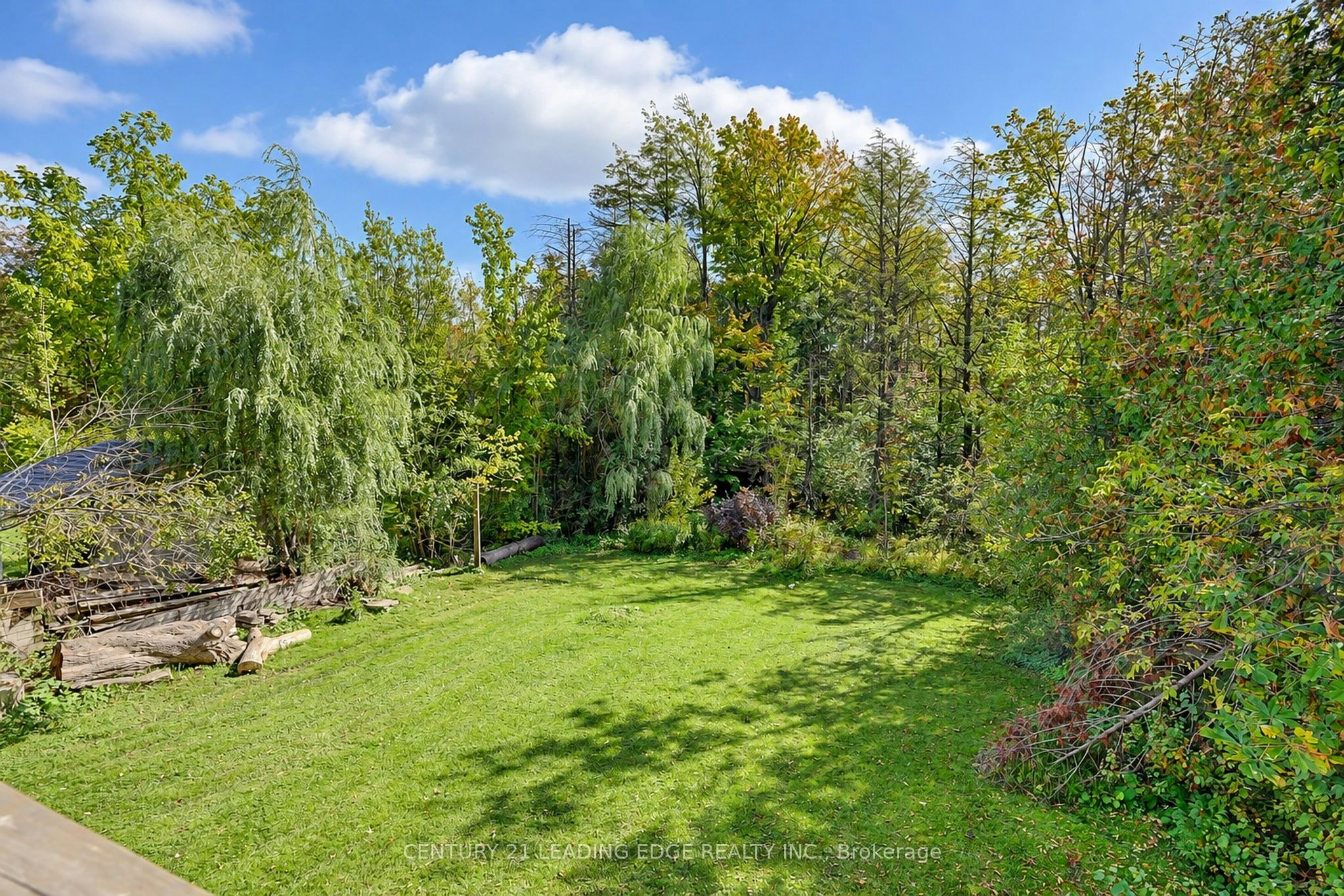 Basement-1006 Elgin Street, Newmarket, ON, L3Y 3C1 - 22
