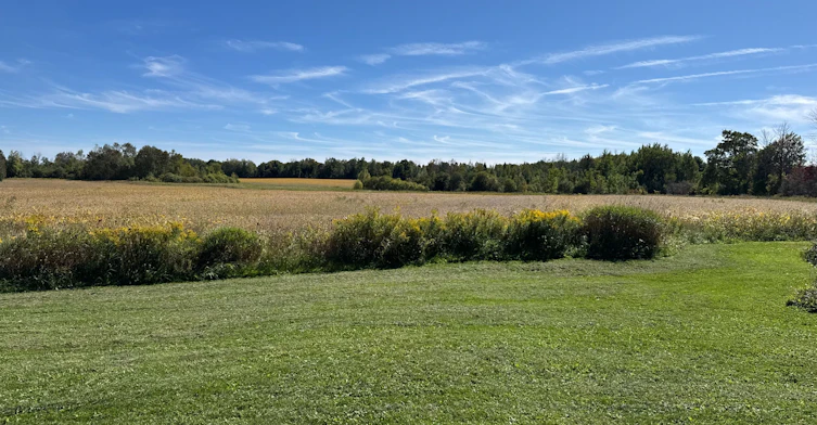 2755 4th Line, Innisfil, ON, L0L 1K0 - 13