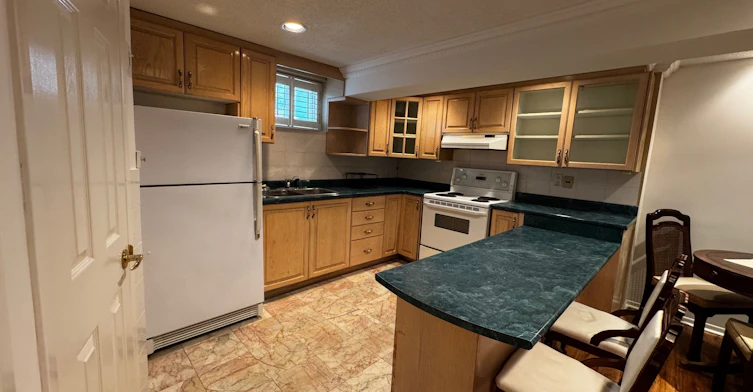 Basement-198 Stephen Street, Richmond Hill, ON, L4C 5P1 - 3