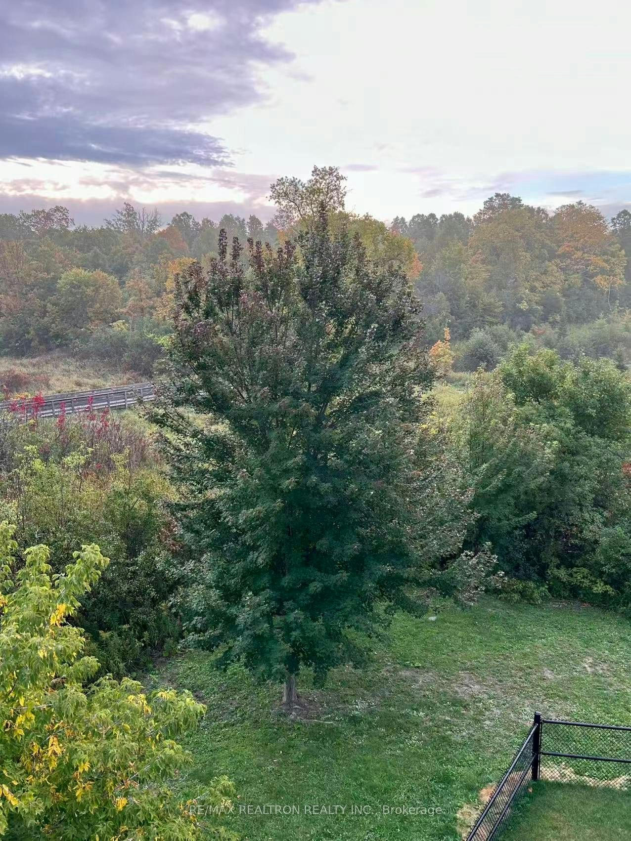 Lower-49 Roy Harper Avenue, Aurora, ON, L4G 0V4 - 9