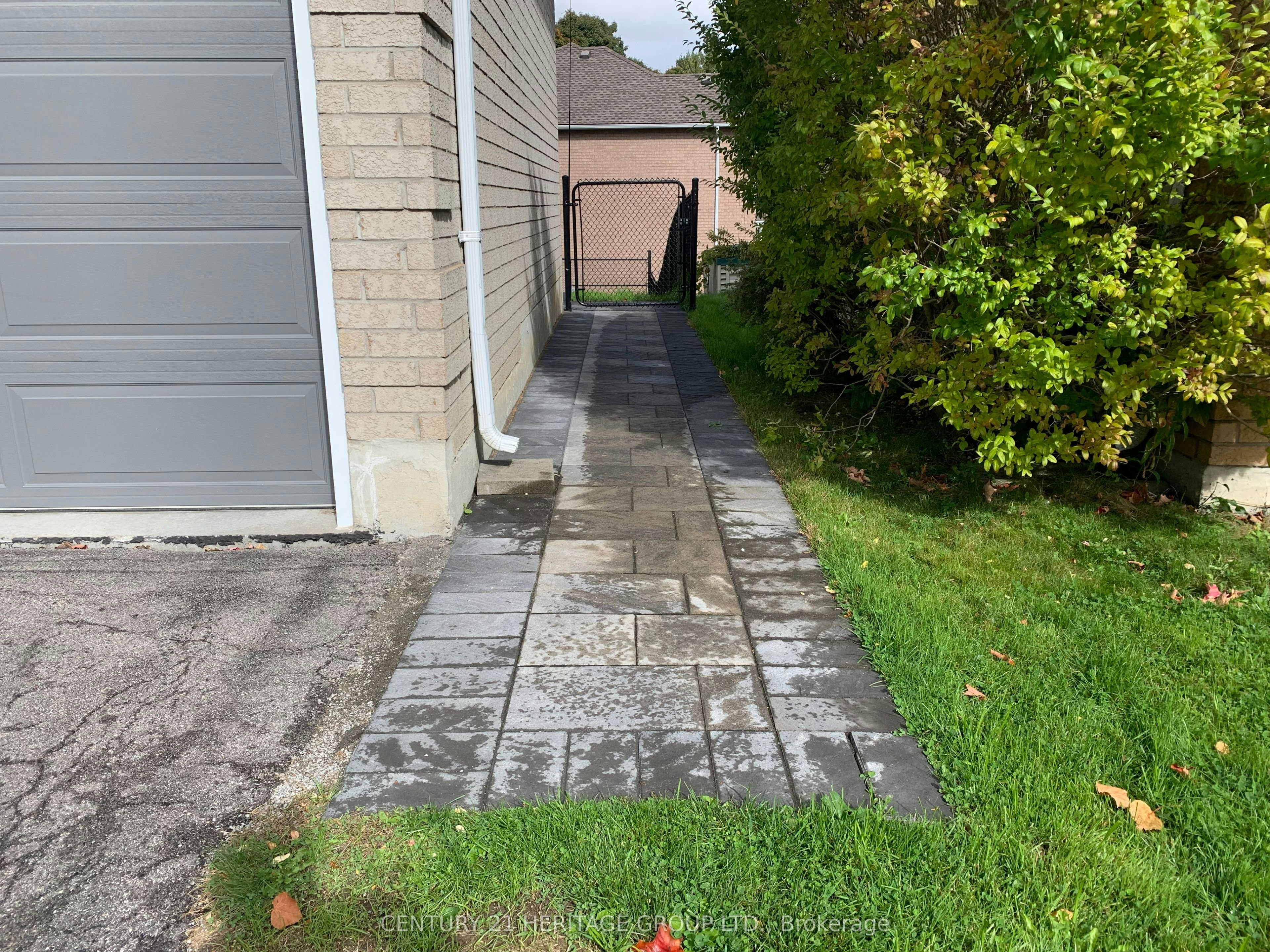 Walk-Out Basement-337 Carruthers Avenue, Newmarket, ON, L3X 2B7