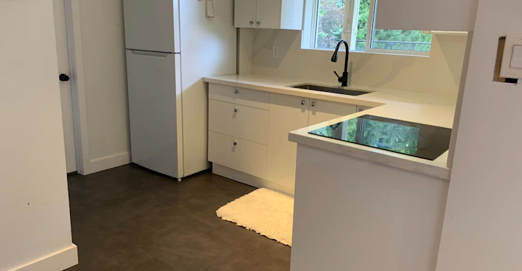 Walk-Out Basement-337 Carruthers Avenue, Newmarket, ON, L3X 2B7 - 10