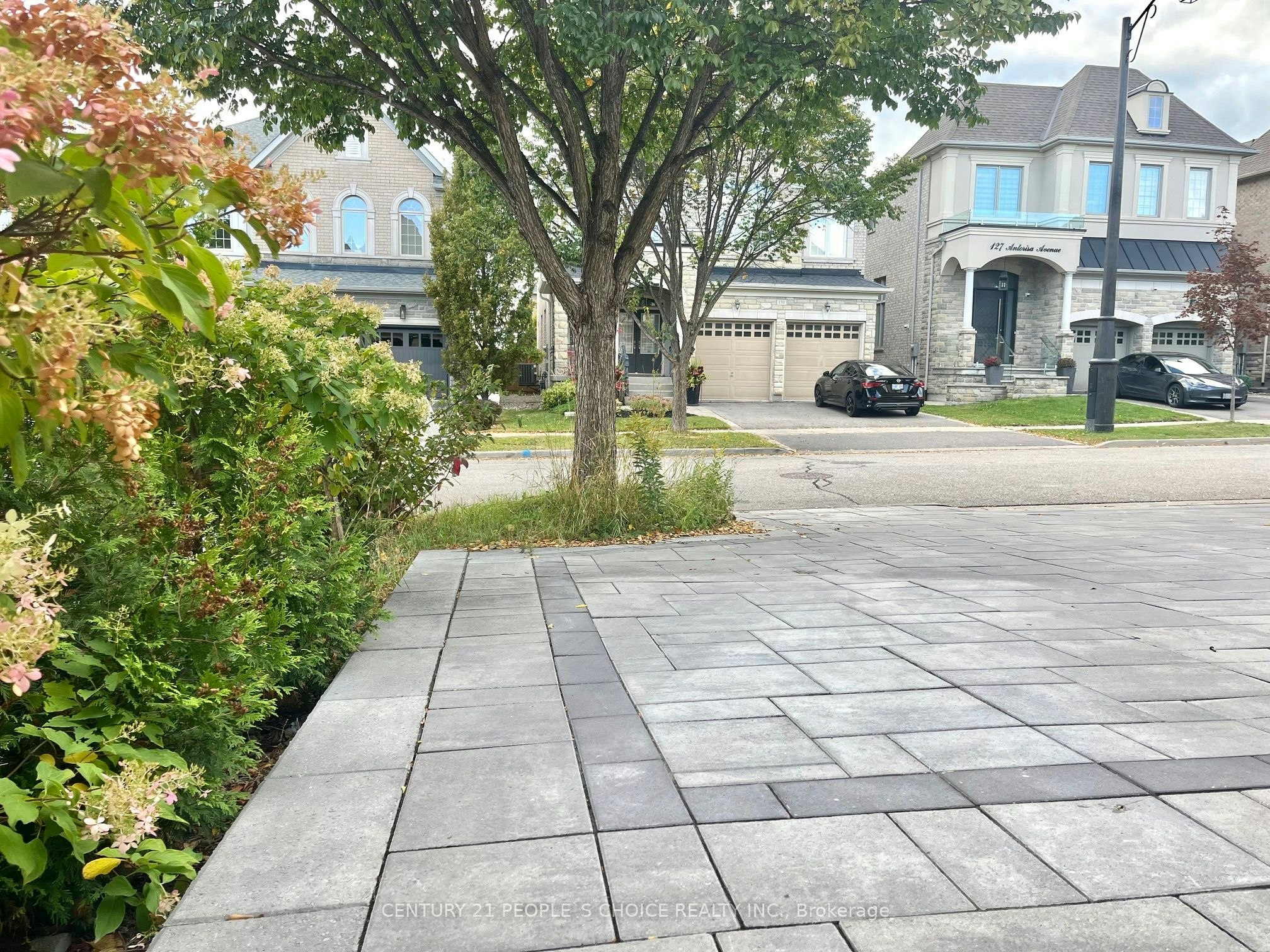 Bsmt-132 Antorisa Avenue, Vaughan, ON, L4H 3S3 - 3