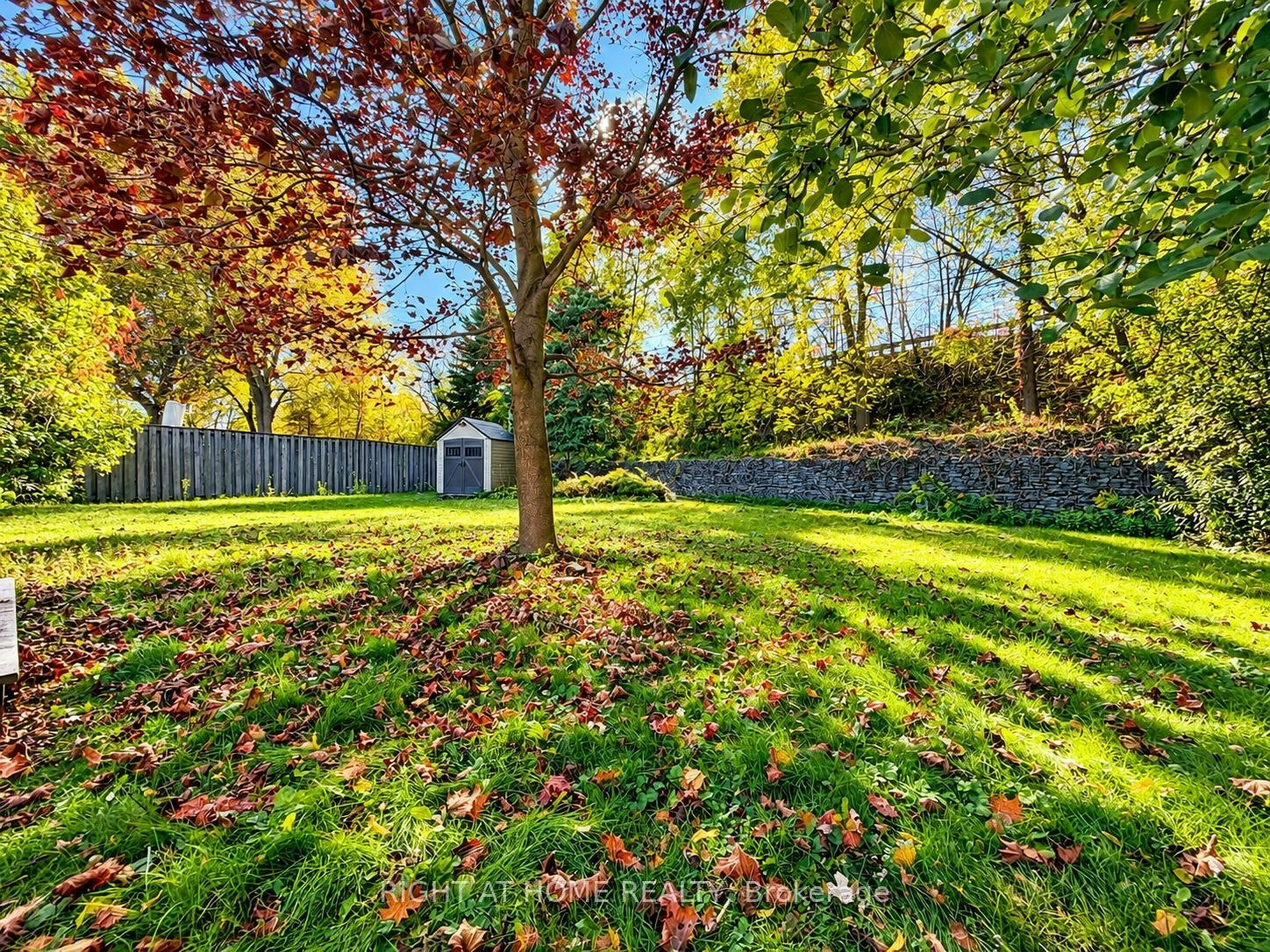 Main Floor-72 Monkswood Crescent, Newmarket, ON, L3Y 2K1 - 21