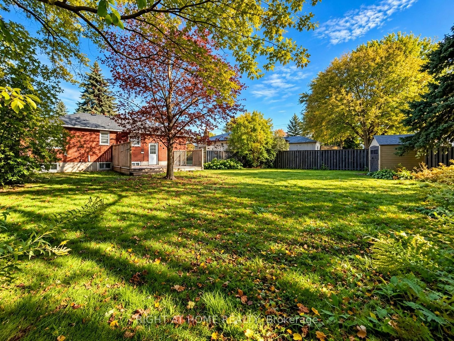 Main Floor-72 Monkswood Crescent, Newmarket, ON, L3Y 2K1 - 22