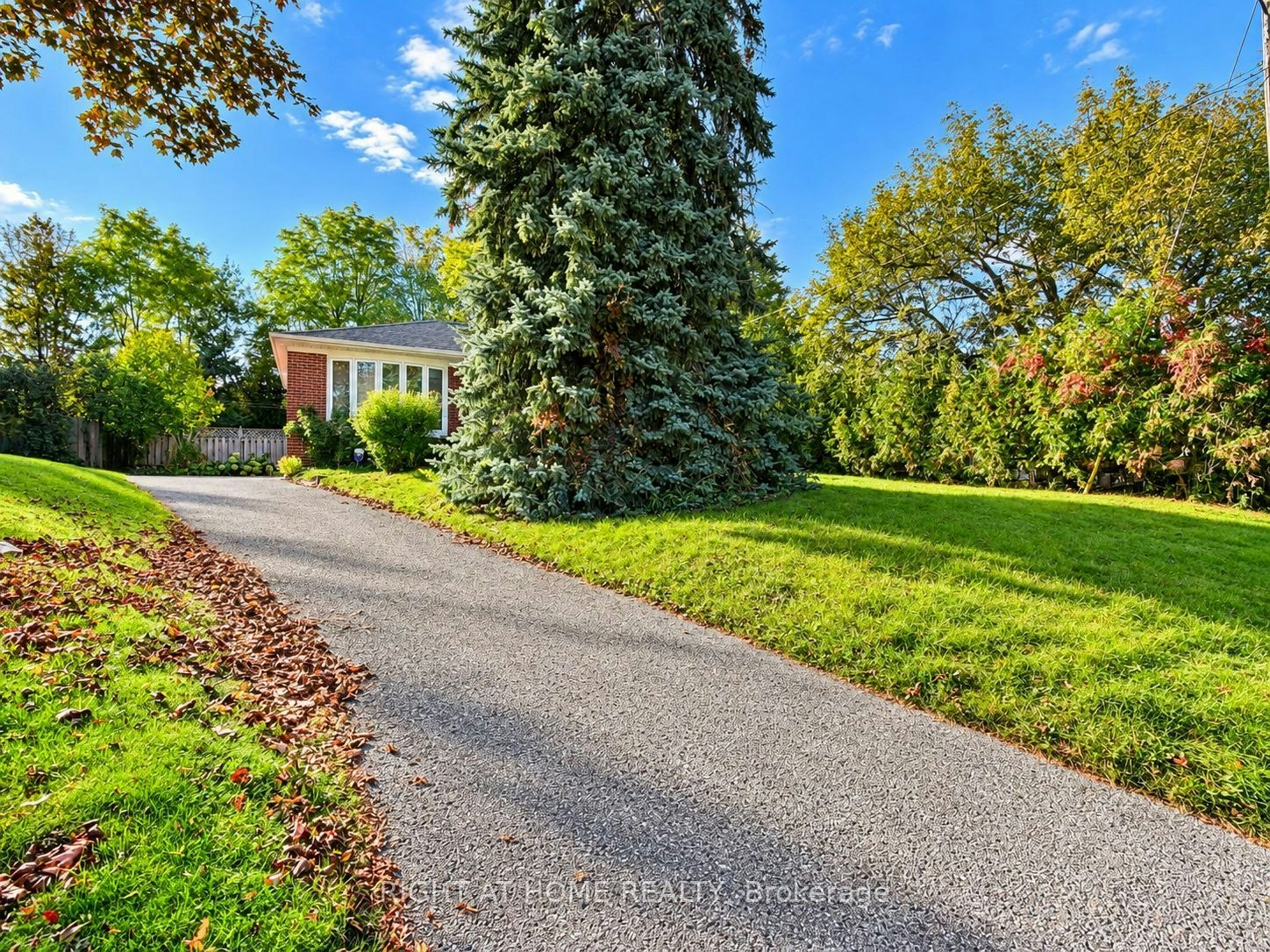 Main Floor-72 Monkswood Crescent, Newmarket, ON, L3Y 2K1 - 27