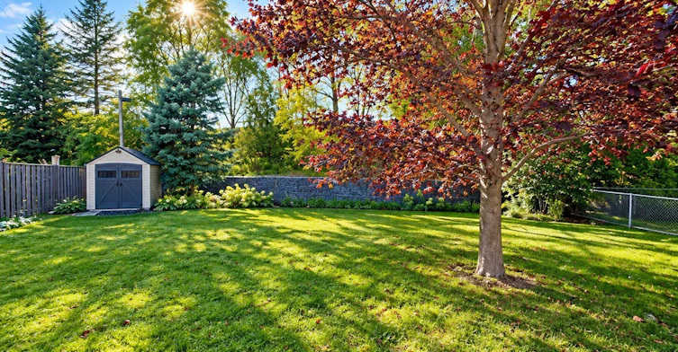 Main Floor-72 Monkswood Crescent, Newmarket, ON, L3Y 2K1 - 23