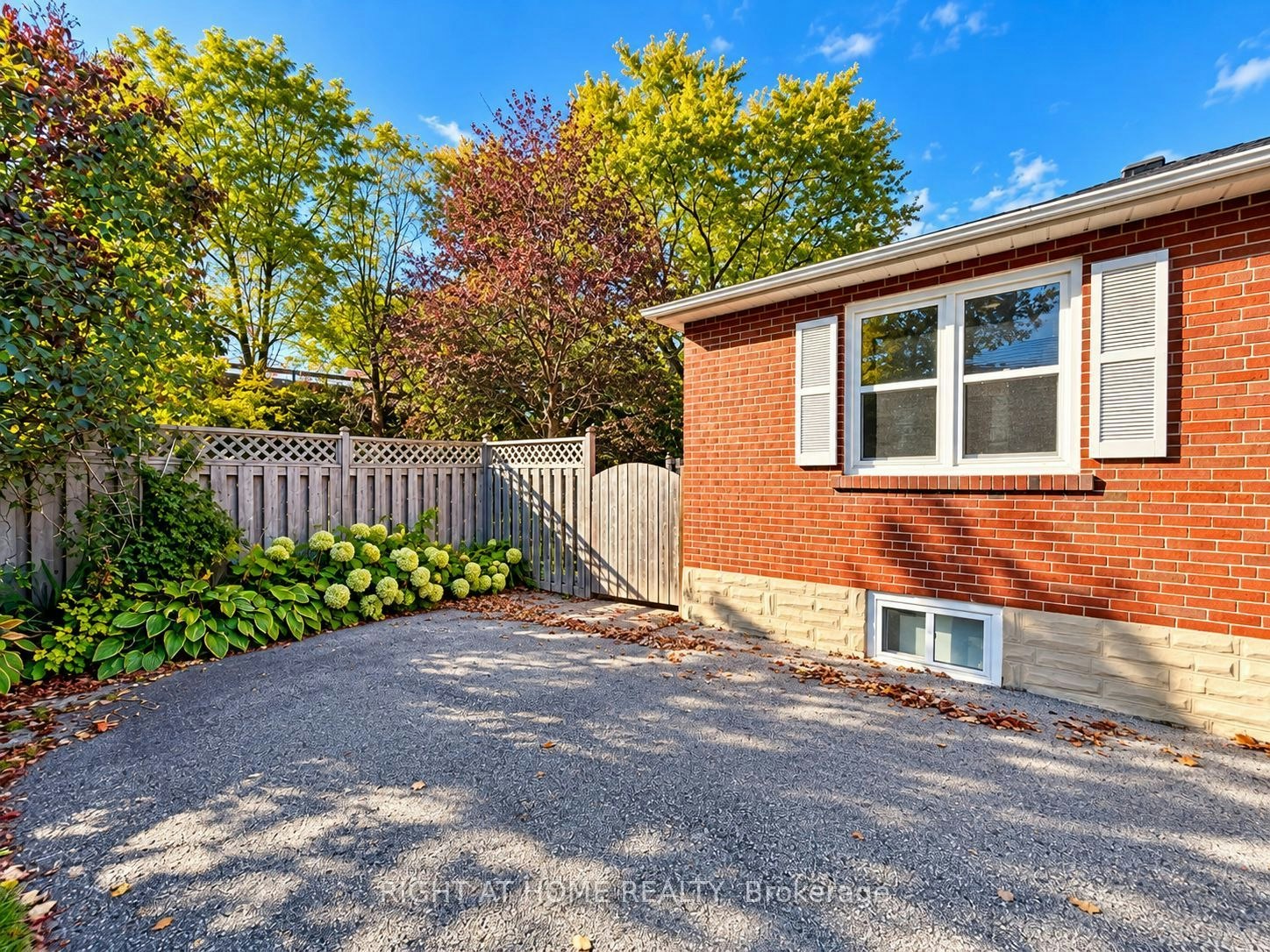 Basement-72 Monkswood Crescent, Newmarket, ON, L3Y 2K1 - 2
