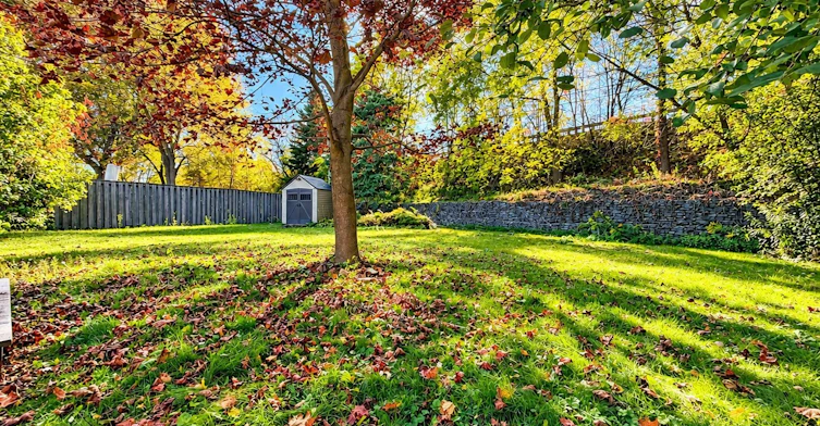 Basement-72 Monkswood Crescent, Newmarket, ON, L3Y 2K1 - 21