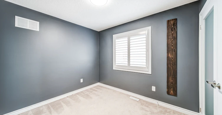 57 Lampkin Street, Georgina, ON, L0E 1R0 - 31