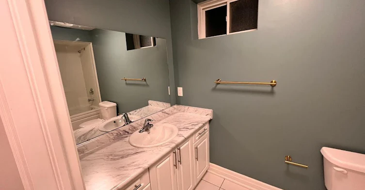 Bsmt-86 Professor Day Drive, Bradford West Gwillimbury, ON, L3Z 4J3 - 15