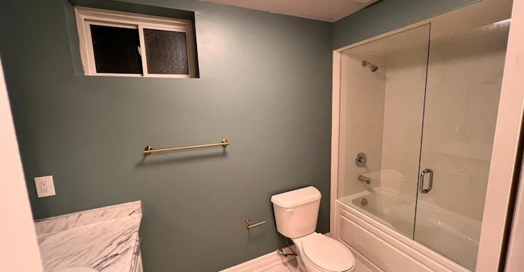 Bsmt-86 Professor Day Drive, Bradford West Gwillimbury, ON, L3Z 4J3 - 17