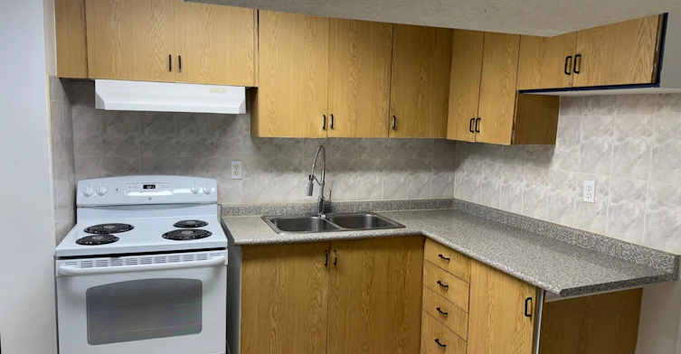 Basement-116 Douglas Haig Drive, Markham, ON, L3S 1Z4 - 2